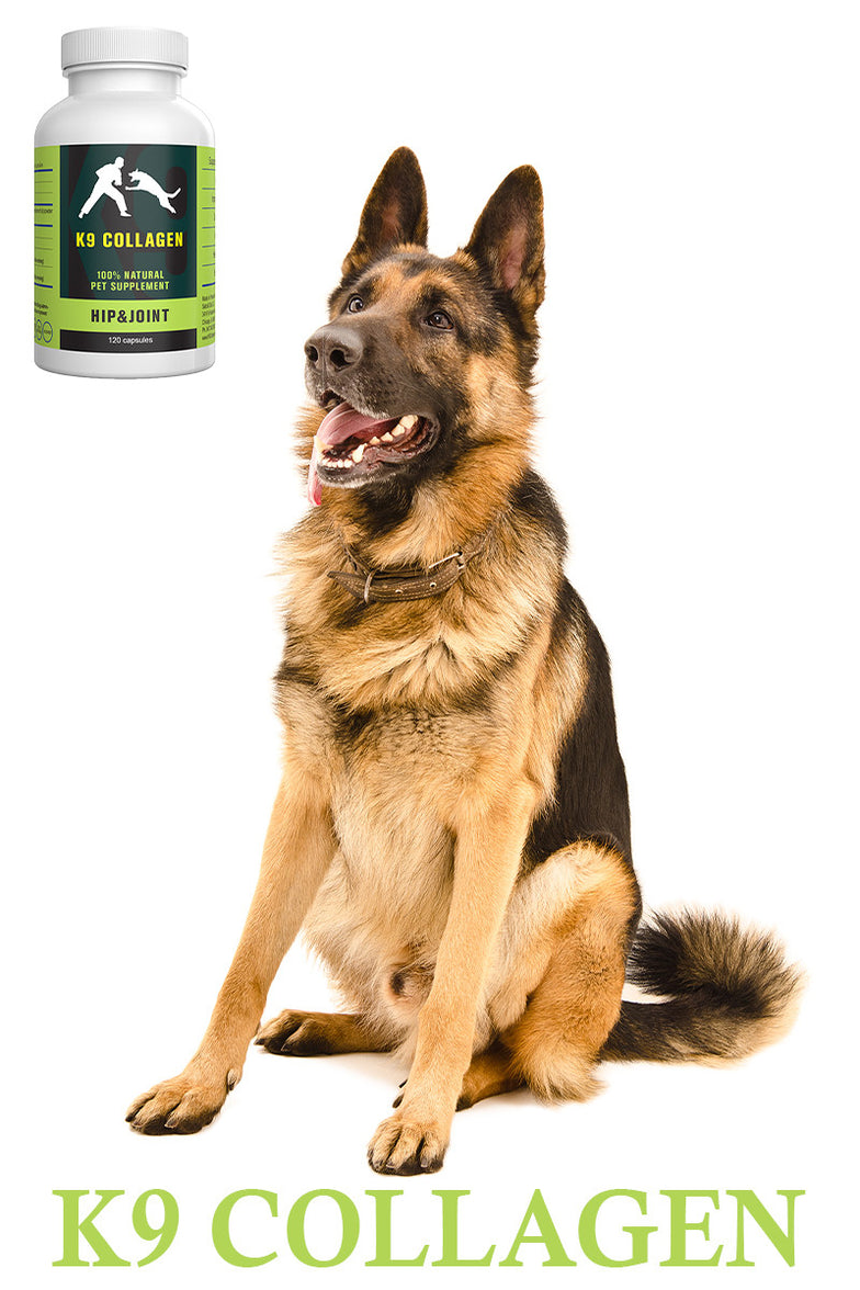 K9 Collagen Hip and Joint Supplement The Best Joint Complete For Dogs K9 Collagen