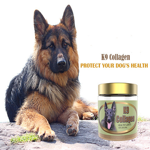 Best joint supplement for best sale german shepherd